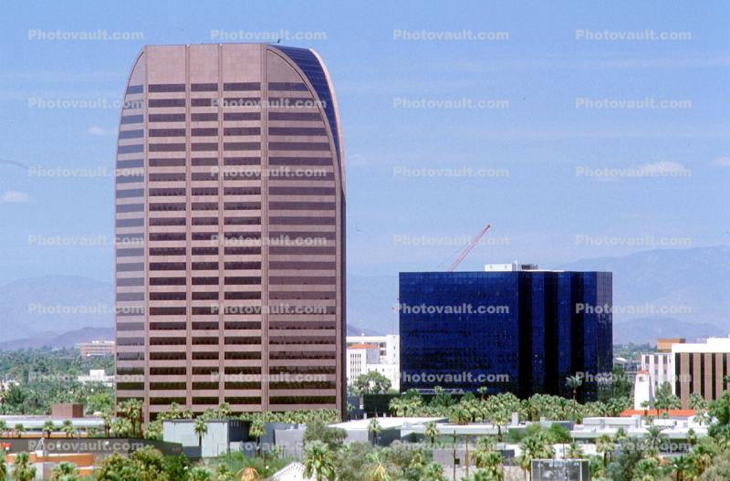 palm trees, downtown, highrise, buildings