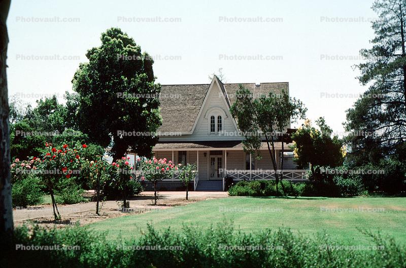 Century House Landmark, Centennial Park, Garden, Lawn, 10 August 1983