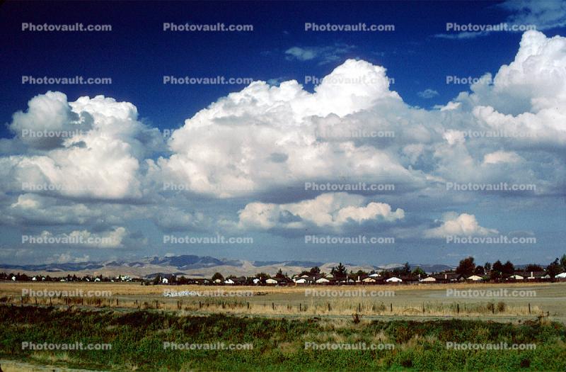 Cumulus Clouds, 1 September 1983