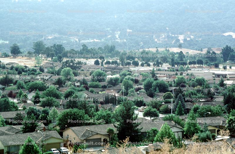 Trees, houses, homes, texture, suburban, urban, sprawl, Buildings, 23 September 1983