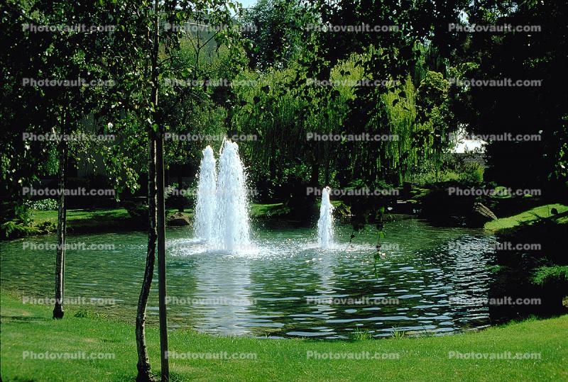 Water Fountain, aquatics, pond, trees