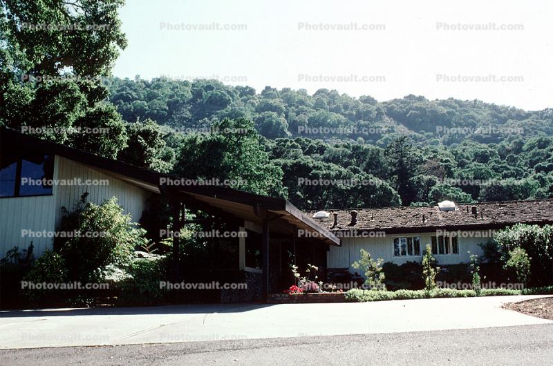 Home, House, trees, 9 May 1984