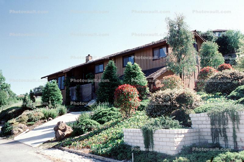 House, Single Family Dwelling Unit, shrub, 9 May 1984