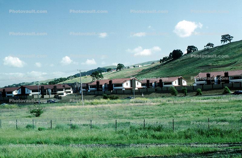 Hills, buildings, trees, 14 May 1984