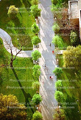 Trees, Walkway, Path, Shadows, People, San Antonio, 25 March 1993