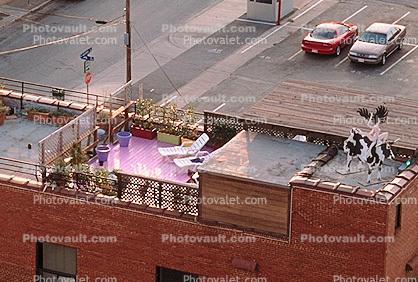 Building roof, cow sculpture, Rooftop patio, 21 May 1995