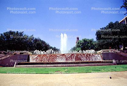 Water Fountain, aquatics, Austin