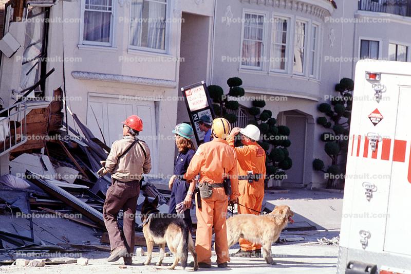 Rescuers, Dogs, German Shepard, Marina district, Loma Prieta Earthquake (1989), 1980s