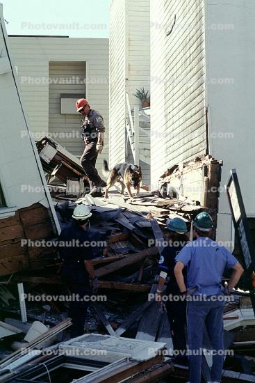 Rescuers, Dogs, Crushed House, Marina district, Loma Prieta Earthquake (1989), 1980s