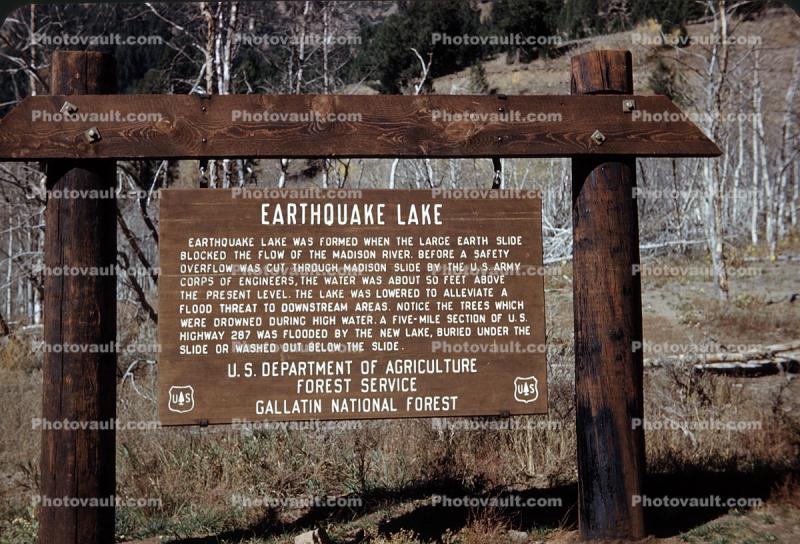Earthquake Lake, Gallatin National Forest, Yellowstone