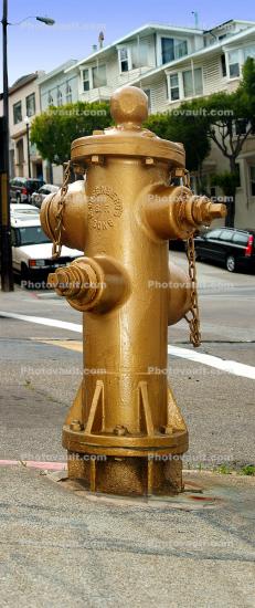 Mythical Golden Fire Hydrant, Panorama