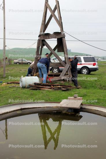 Cow in a Water Well Rescue, Sonoma County