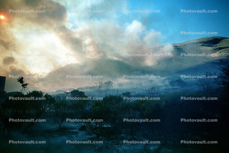 Charred Landscape, burned out aftermath, smoke, wildland fire, San Bruno Mountain