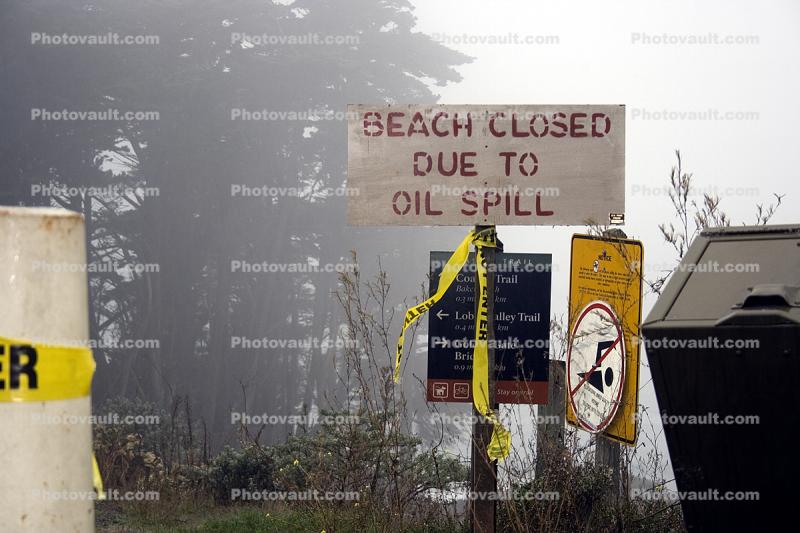 Hanjin, Cosco Busan Oil Spill, The Presidio Beach
