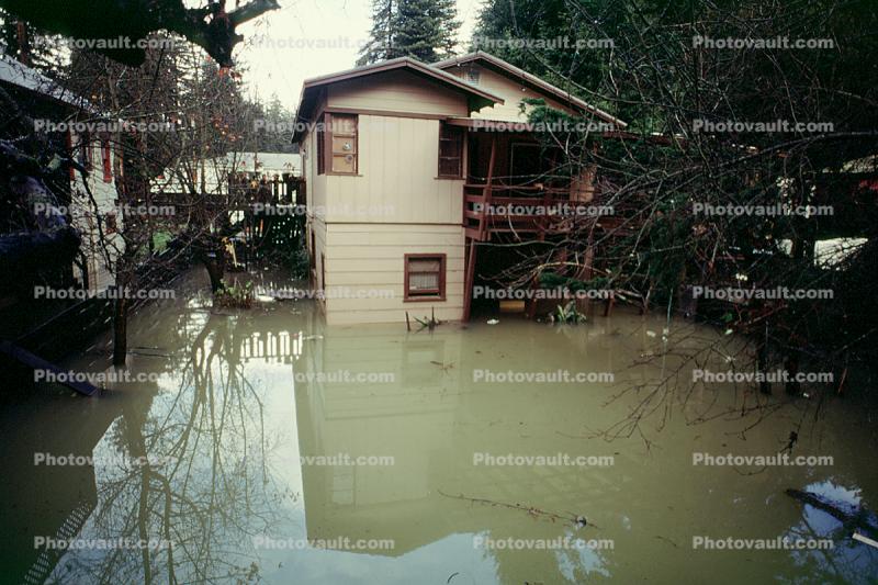 Home, House, Flooding in Guerneville, 14 January 1995
