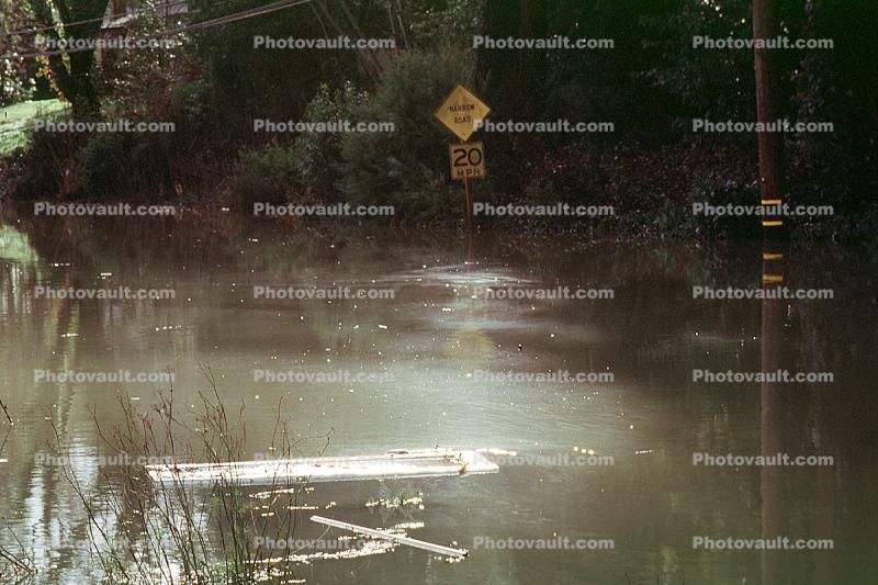 Road Flooding, Street, 14 January 1995