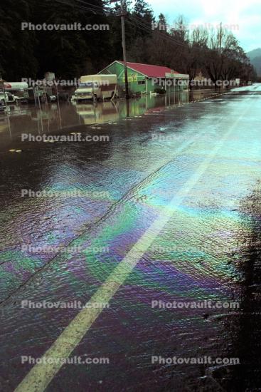 Flooded River Road, Guerneville, Oil Slick, 15 January 1995