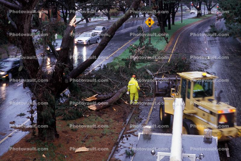 Felled Trees, Cherrypicker Truck, lift, road, street, rainy, rain, wet