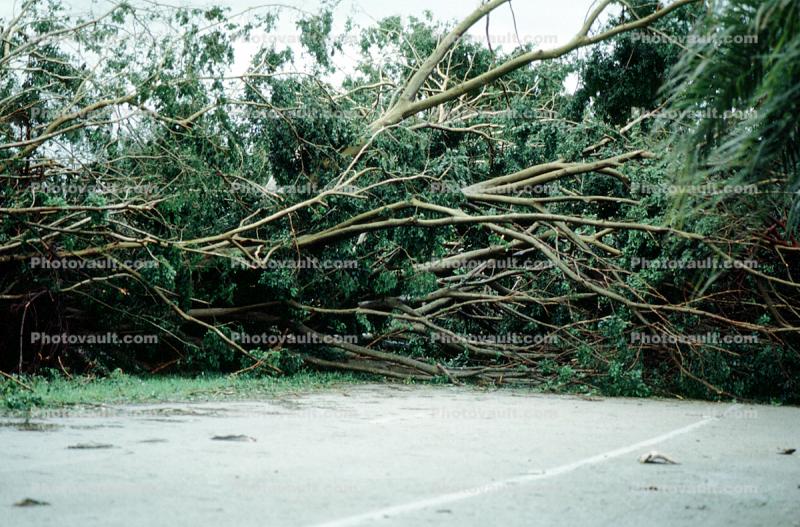 Hurricane Francis, 2004