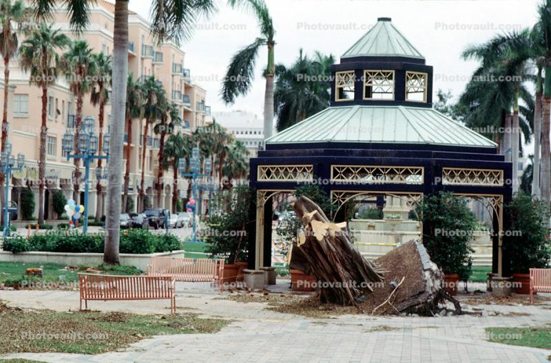 downed trees, felled, buildings, benches, park, Hurricane Francis, 2004