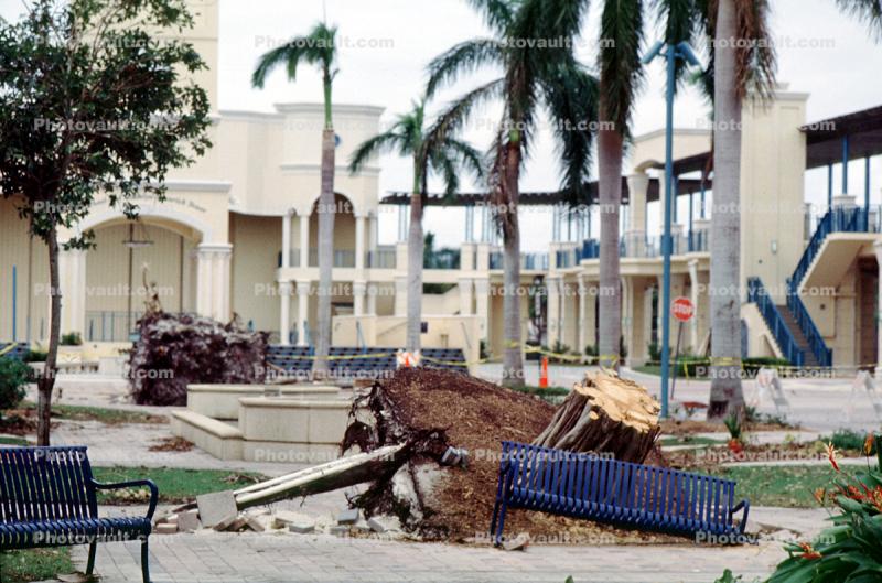 downed trees, felled, buildings, benches, park, Hurricane Francis, 2004