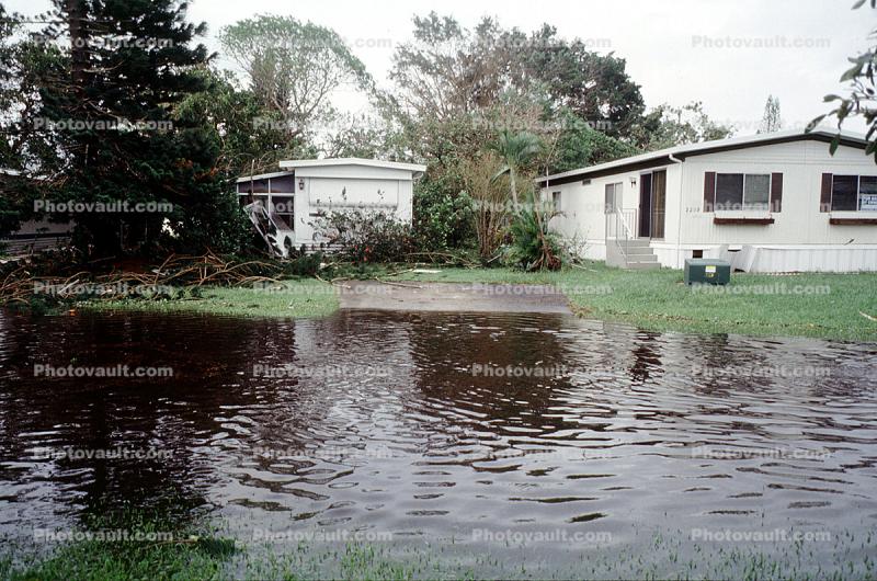 downed trees, flooding, flood, buildings, roots, home, house, Hurricane Francis, 2004