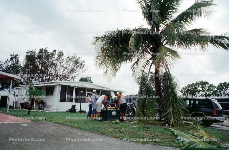 downed trees, trailer home, people, Hurricane Francis, 2004