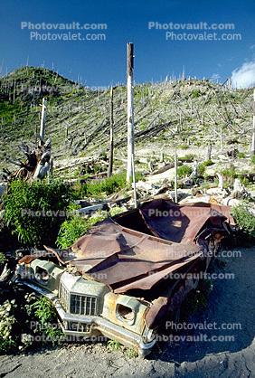 Rusting Crushed Car, flattened forest