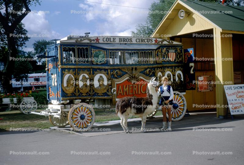 Cole Brothers Circus, Llama, Calliope, 1950s