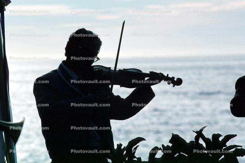 fiddle, violin