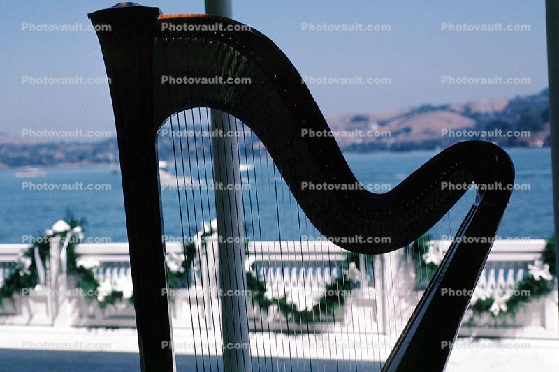 Harp, Sausalito, California