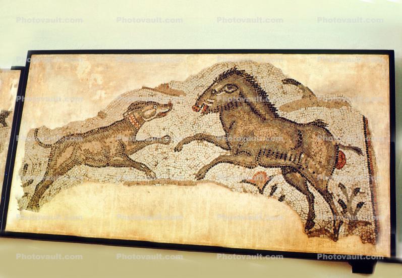 tile, tilework, boar, dog, Hunting Scenes from Carthage, around AD 500