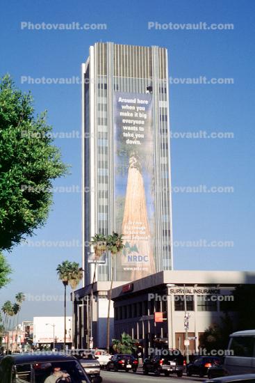Save the Giant Sequoias, NRDC, 200 foot high banner by Wernher Krutein, Sunset Blvd, Hollywood, highrise building