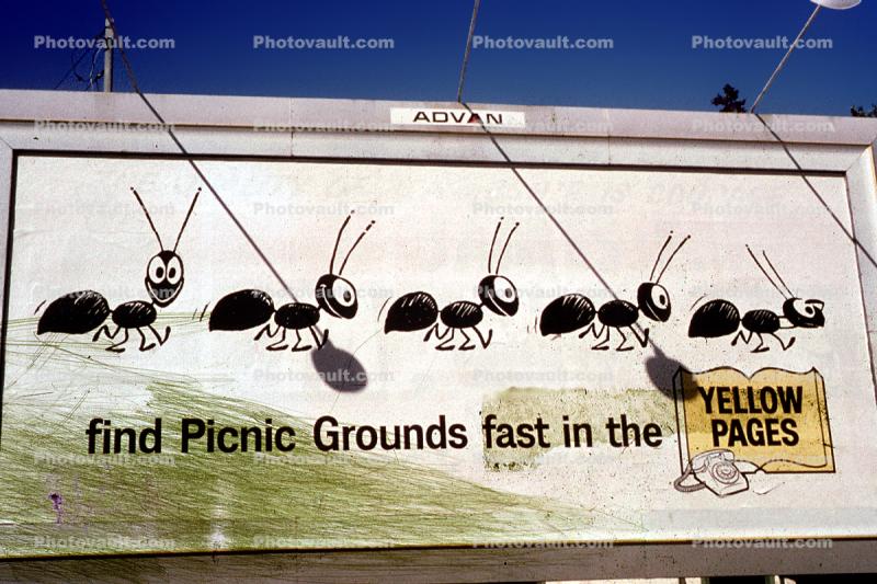 Marching Ants, Yellow Pages, New Hampshire, May 1965