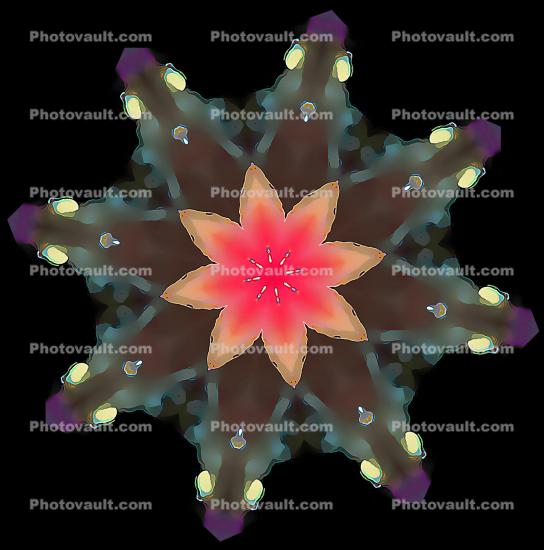 Hibiscus Flower Mandala