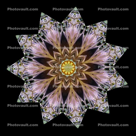 Purple Center Flower Mandala, pattern, Dreamcatcher