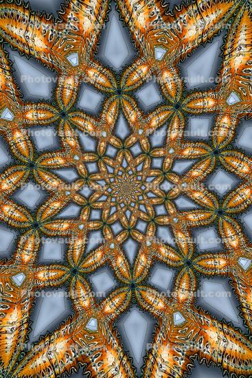 Singular Encircled Mandala