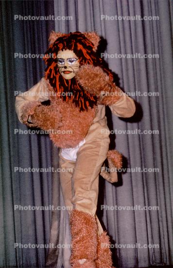 Wizard of Oz, Lion, Costume