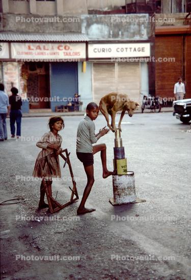 Boy and his Acrobat Dog, Balancing On Wobbly Tin Cans, Mumbai