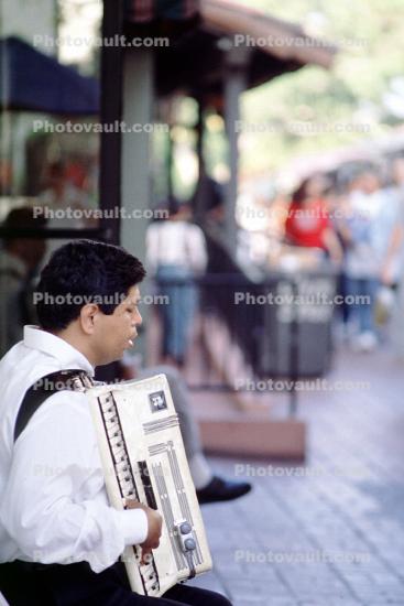Man playing an Accordion, Rome, Italy