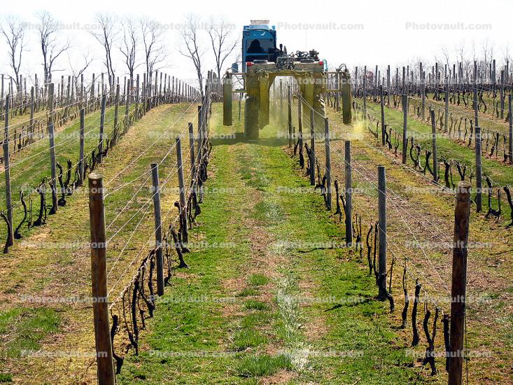 applying chemicals, Over-the-Row Tractor, Long Island Wine Country