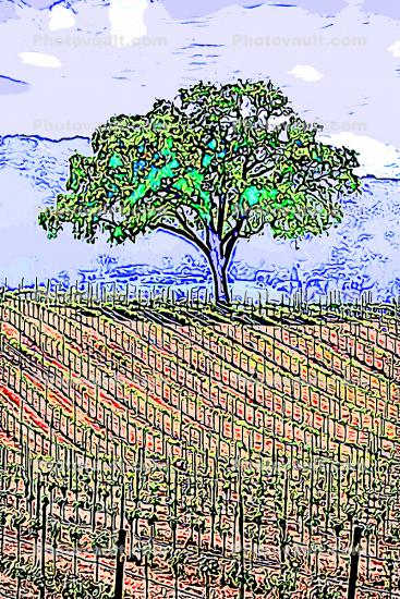 Sonoma Valley, California, Paintography