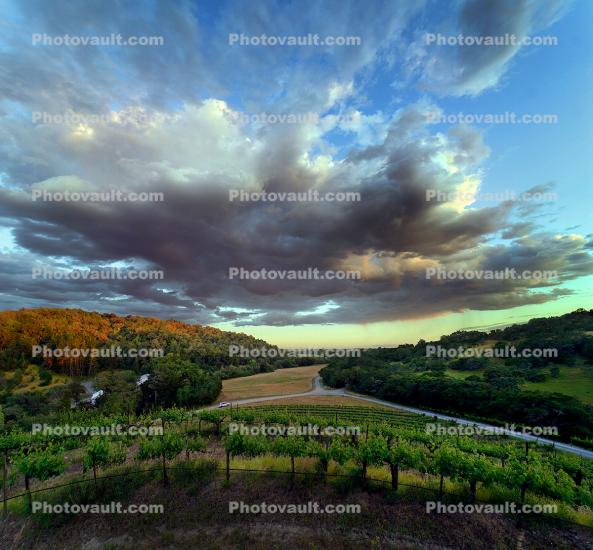Clouds over the Vineyard, Vortex-Mountain, Hill