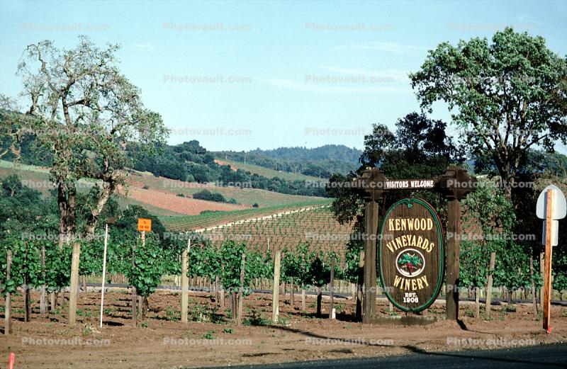 Kenwood Vineyards Winery, 1908, Sonoma County, California