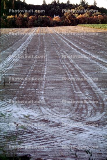 Water, Mud, Tracks, Sonoma County, California, Rows