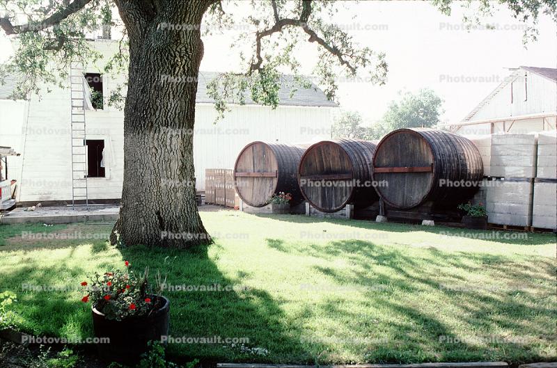 wine oak barrels, Wood, Wooden Barrels, Fermenting Tanks