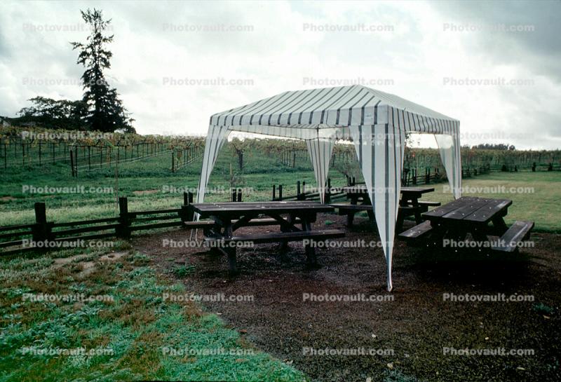Tent, Picnic Benches