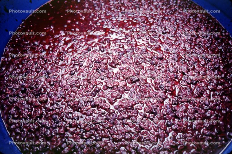 press, crusher, crushing, red grapes, texture, background
