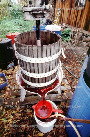 Oak Wine Barrels, press, crusher, crushing, red grapes