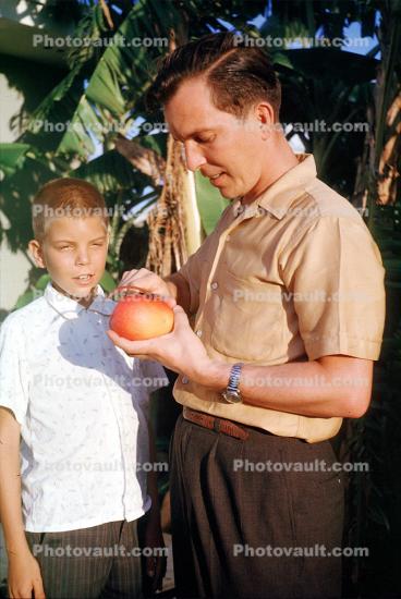 Papaya, Father, Son, 1950s